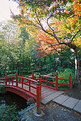 Picture Title - Red Bridge