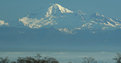 Picture Title - Mount Baker off the fog