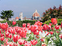 Picture Title - Florence & flowers