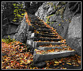 Picture Title - A Step Towards Fall
