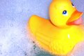 Picture Title - Rubber Ducky, Your the One