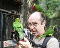 Picture Title - How not to shoot a lorikeet