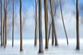 Picture Title - Waltzing Into Winter