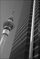 Picture Title - Sky Tower