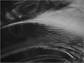 Picture Title - Water Patterns II