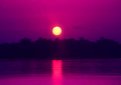 Picture Title - ..Purple Sunset..