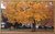 Fall in Tenn