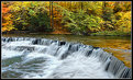 Picture Title - South Chagrin Reservation