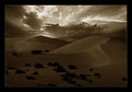 Picture Title - Desert 