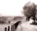 Picture Title - Cades Cove