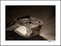 Picture Title - "Silver Shoe"