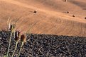 Picture Title - uno sguardo sulle crete