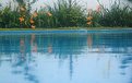 Picture Title - Pool Reflections