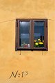Picture Title - Lucky Window
