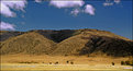 Picture Title - Ngorongoro panorama 4
