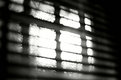 Picture Title - blinds