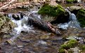 Picture Title - Mountain stream 3