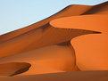 Picture Title - Sahara