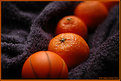 Picture Title - Oranges
