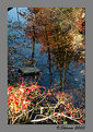 Picture Title - Autumn Reflection #1