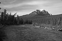 Picture Title - Athabasca River B&W