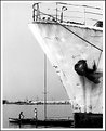 Picture Title - Nel porto