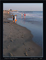 Picture Title - footprints along the shore