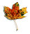 Autumn Leaf