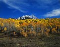 Picture Title - Colorado - Beyond the Aspens