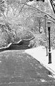 Picture Title - Snowy Morning Karl Shurz Park