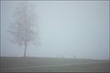 Picture Title - A Foggy memory....