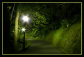 Picture Title - East Path Tonight 