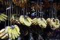 Picture Title - Republic of Banana