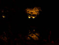 Picture Title - Tombs and reflections