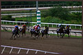 Picture Title - El Comandante Horse Track # 1