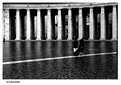 Picture Title - Nuns
