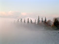 Picture Title - la nebbia