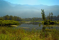 Picture Title - Cheam Wetlands 2