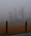 Picture Title - Foggy Scene in Rural Maryland