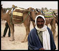 Picture Title - Camel driver...
