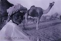 Picture Title - Camel man