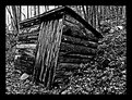 Picture Title - This Old Shed