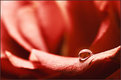 Picture Title - In red.