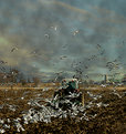 Picture Title - fall ploughing