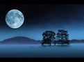 Picture Title - Moonlight II