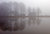 Foggy