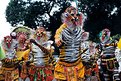 Picture Title - Tigerdancers