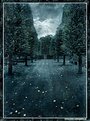 Picture Title - Leaves and Trees