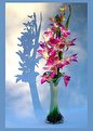 Picture Title - not so fresh orchids