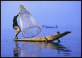 Picture Title - Fishing Burmese Style
